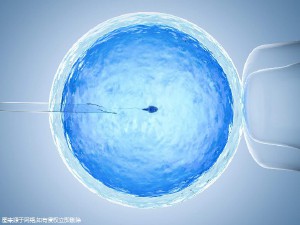 单身同志供卵公司生殖中心
